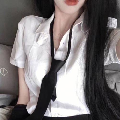 洛洛2019